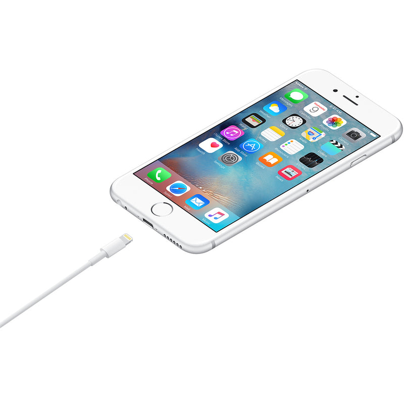 APPLE Câble USB-C vers Lightning (1m)