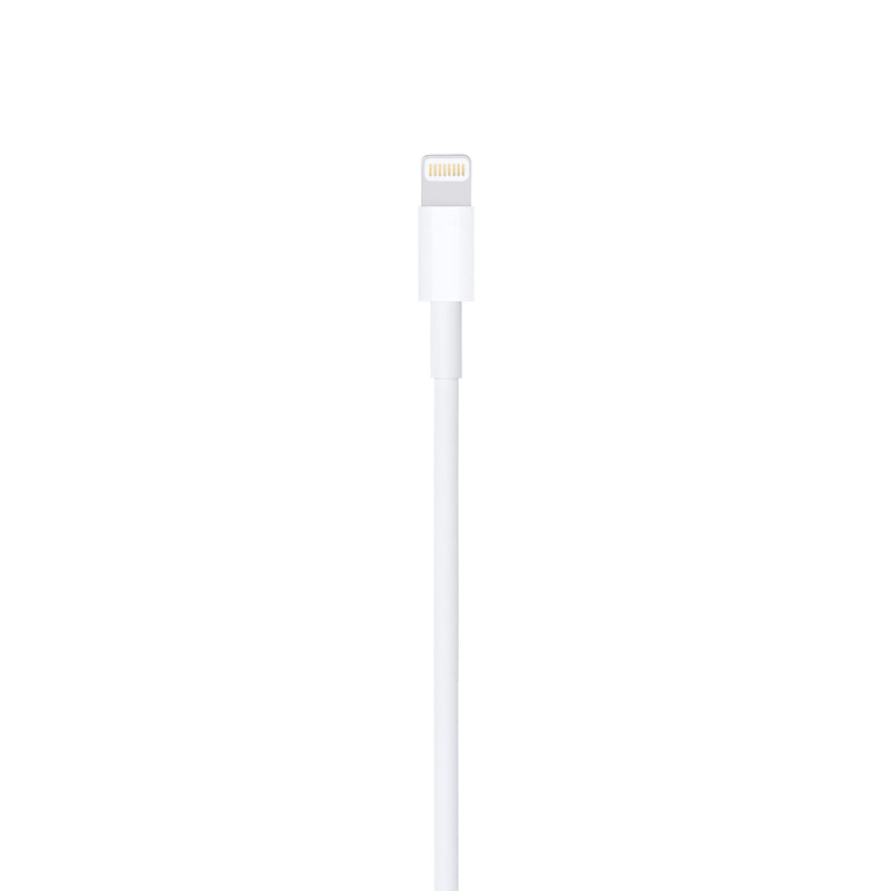 APPLE Câble USB-C vers Lightning (1m)