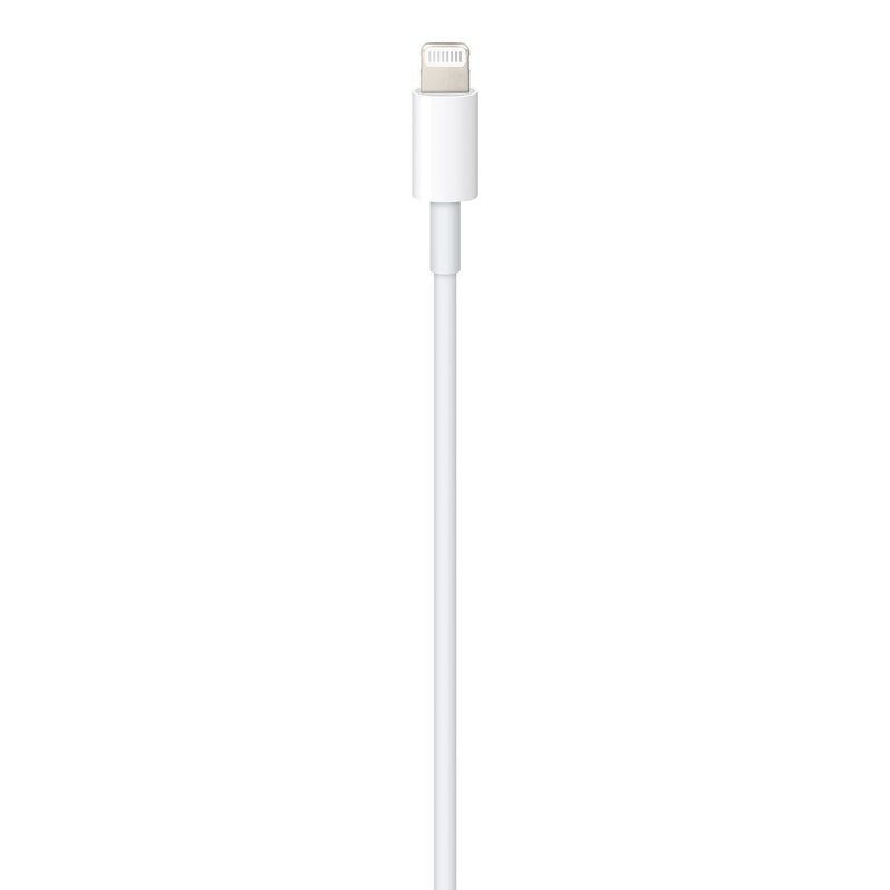 APPLE Câble USB-C vers Lightning (1m)